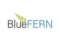 Blue FERN Logo