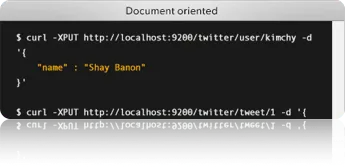 Elasticsearch Document Oriented