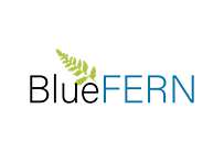 Blue FERN Logo