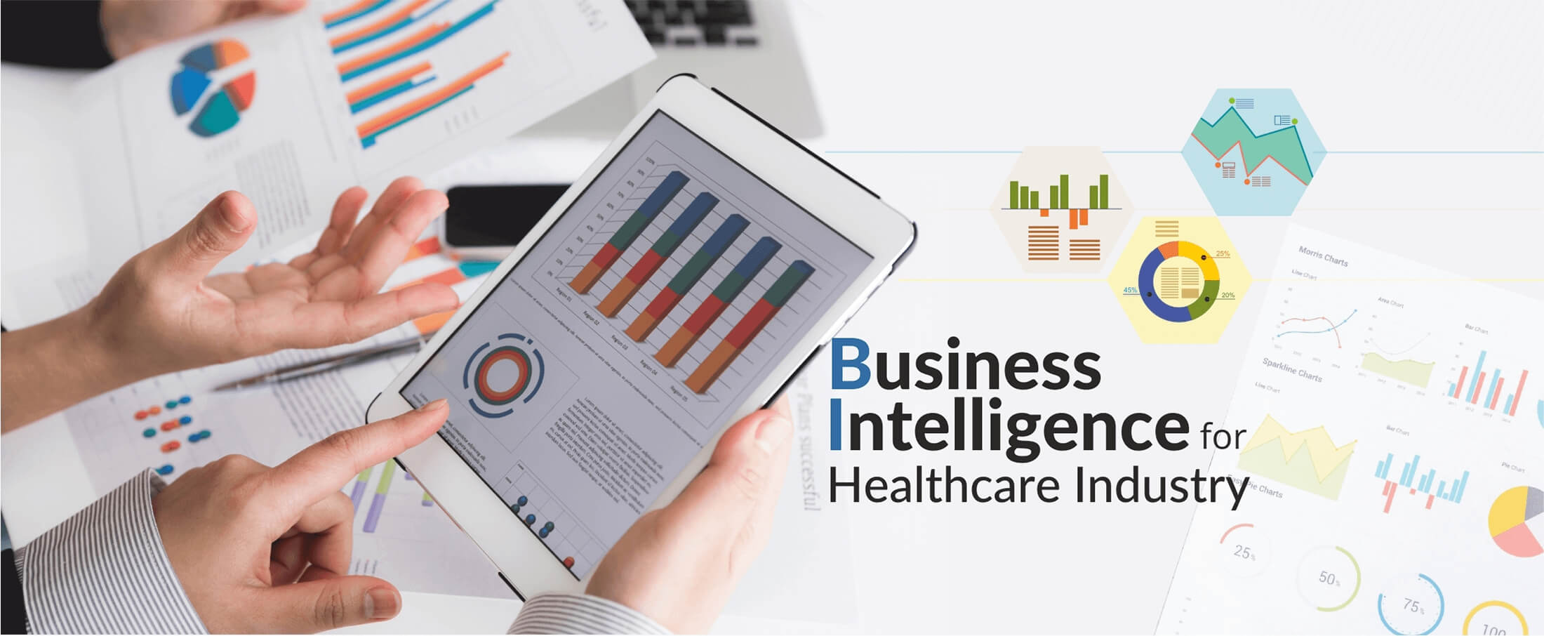 Business-Inteligence-Banner