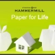 Hammermill - Paper for Life - Our Work